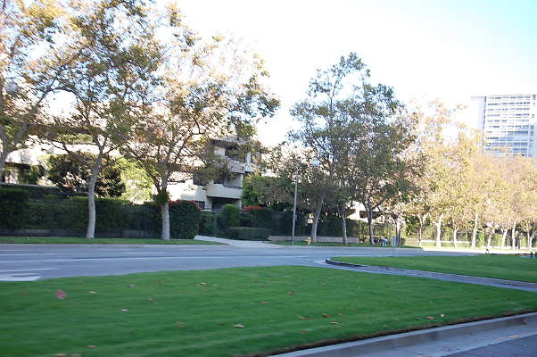 DSC 0281