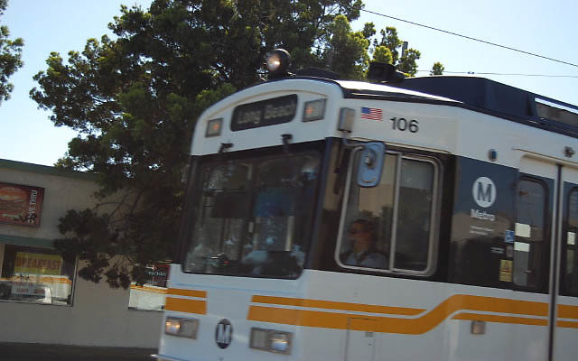 DSC 0313