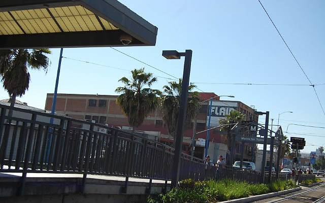 DSC 0306