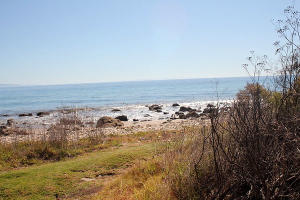 IMG 9965