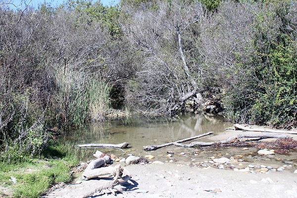 IMG 9952