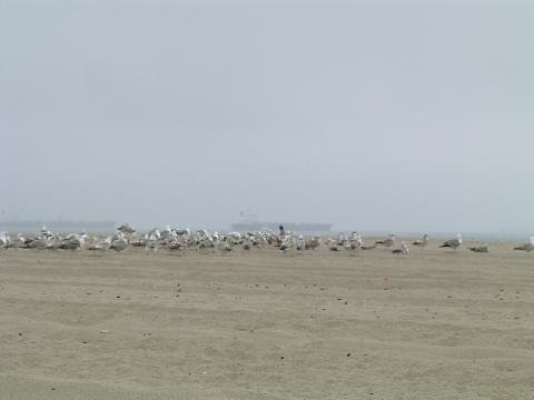 Dockweiler Beach near LAX 23