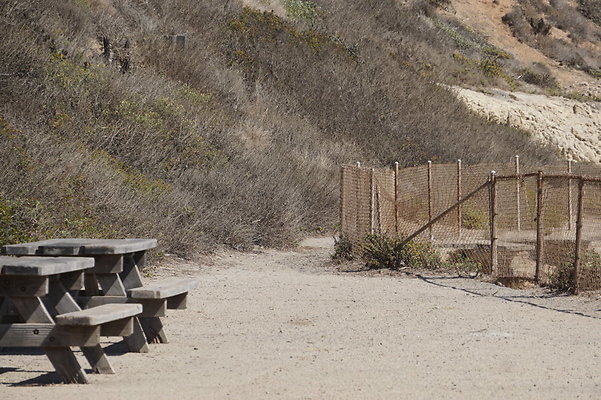 Leo.Carrillo.SB.Sandy.99