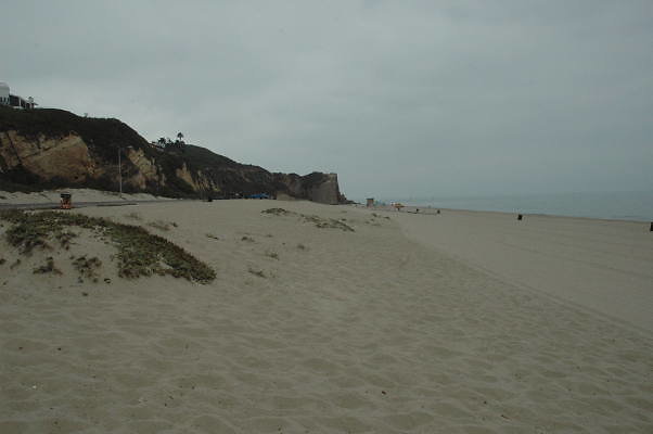 DSC 0069