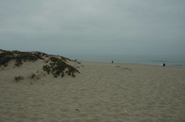 DSC 0076