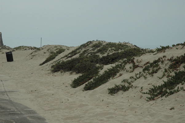 DSC 0074