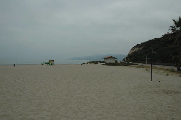 DSC 0086