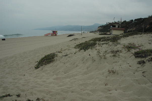 DSC 0067