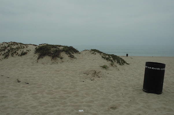 DSC 0075