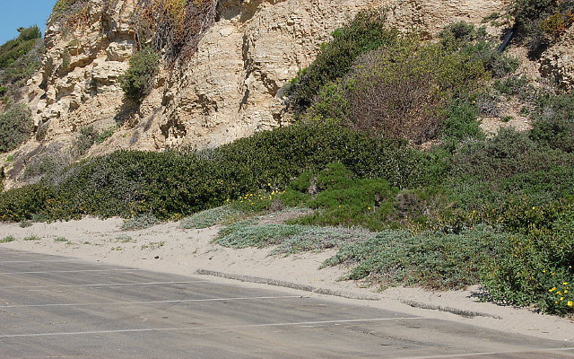 DSC 0077 DSC 0077