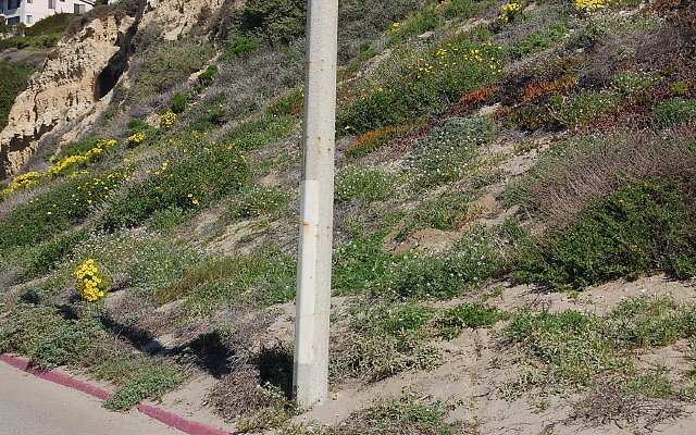 DSC 0025