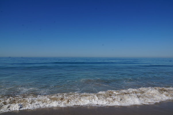 DSC02945