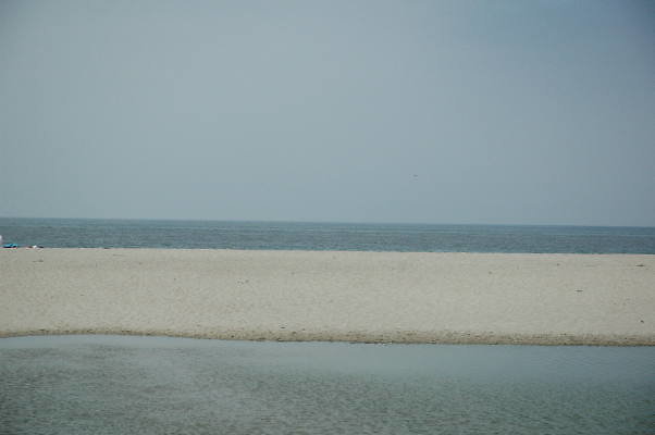DSC 0253