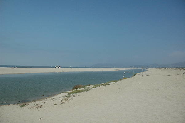 DSC 0250