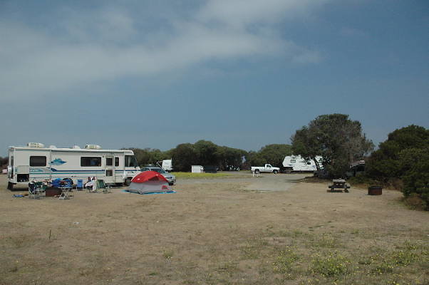 DSC 0240