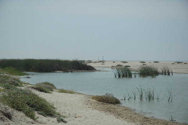 DSC 0257