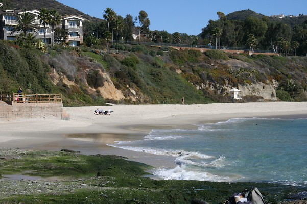 IMG 0080