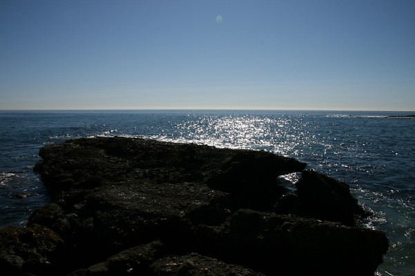IMG 0092