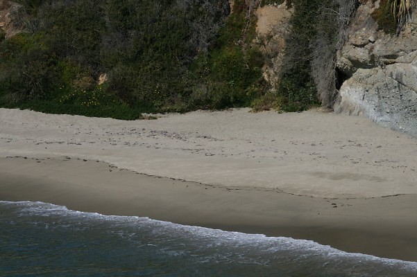 IMG 0086
