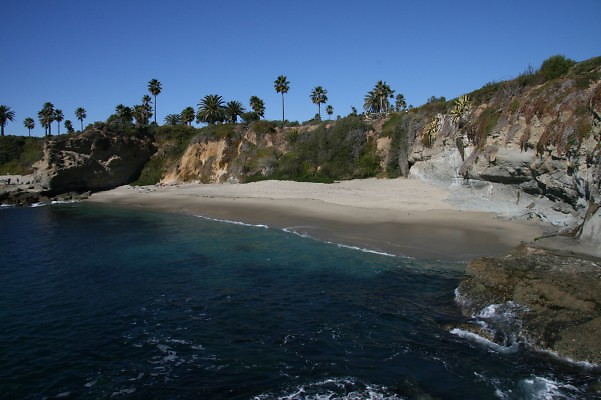 IMG 0082