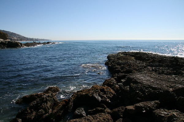 IMG 0091