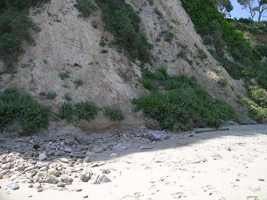 DSCN6776
