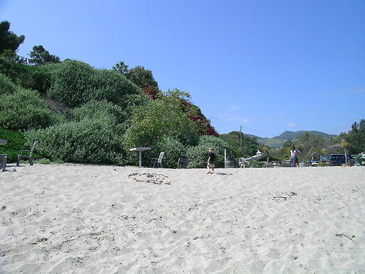 DSCN6764