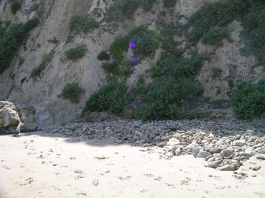 DSCN6775