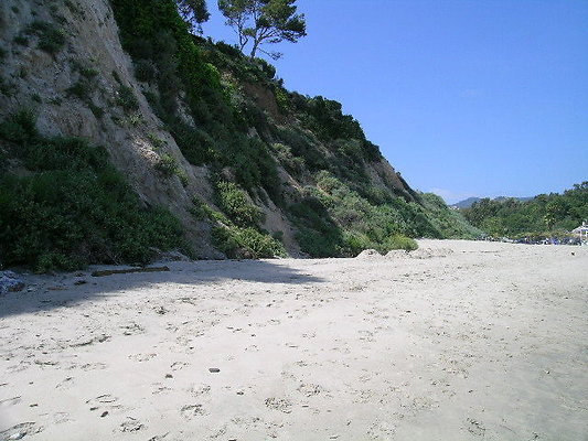 DSCN6777