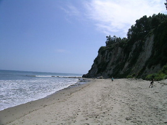 DSCN6761