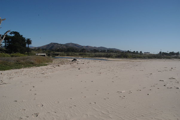 DSC 4839