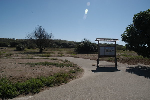 DSC 4842