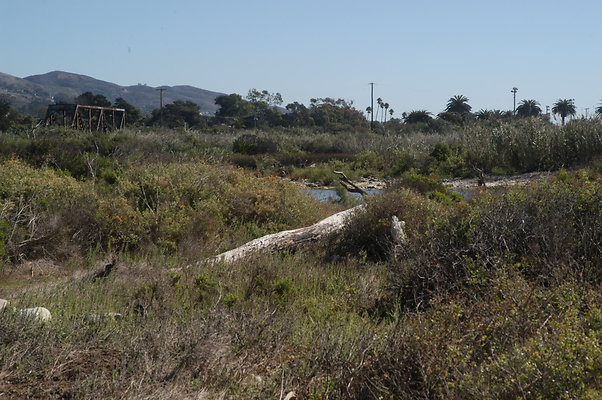 DSC 4835