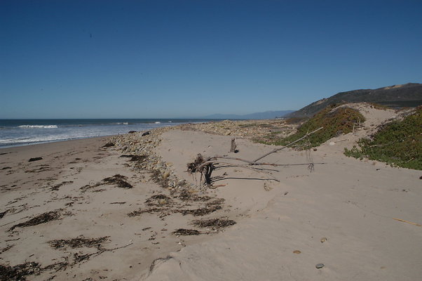 DSC 4837