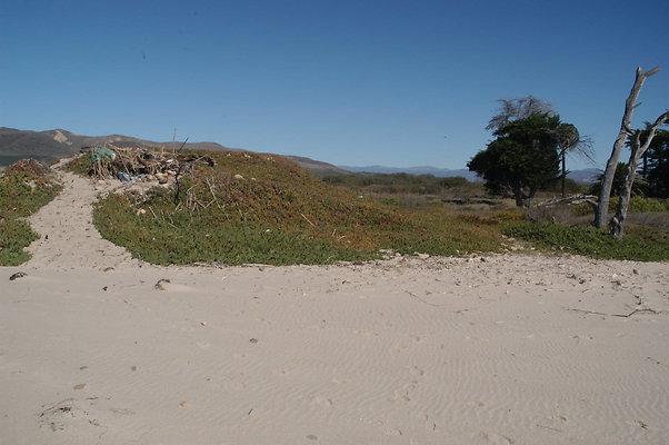 DSC 4838