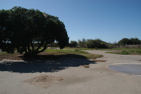 DSC 4843