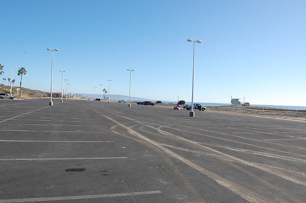 DSC 0061