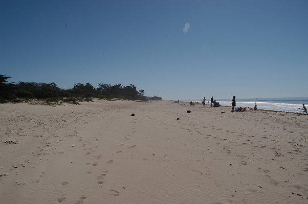 DSC 4892