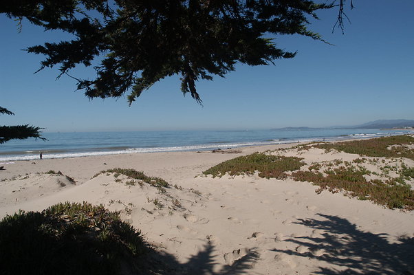 DSC 4908