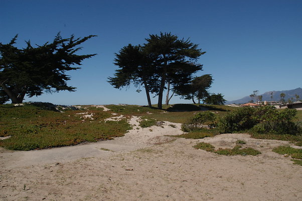 DSC 4876