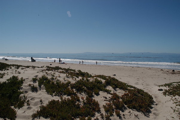 DSC 4898