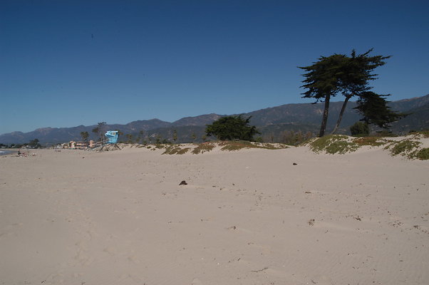 DSC 4887