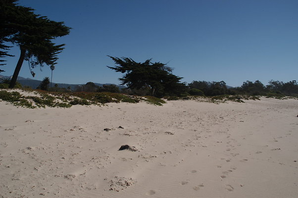 DSC 4889