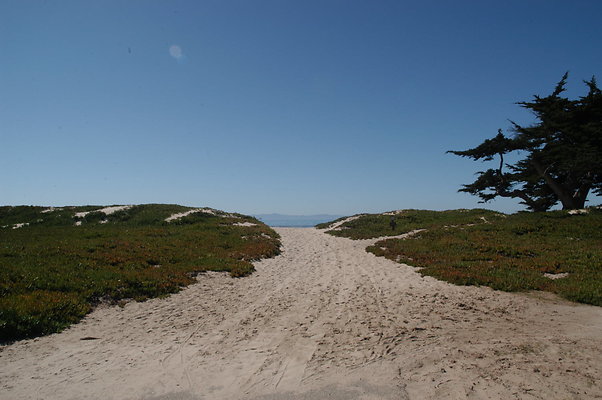 DSC 4875