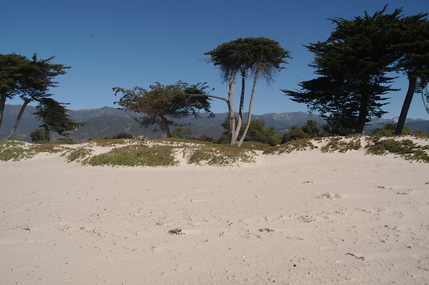 DSC 4888