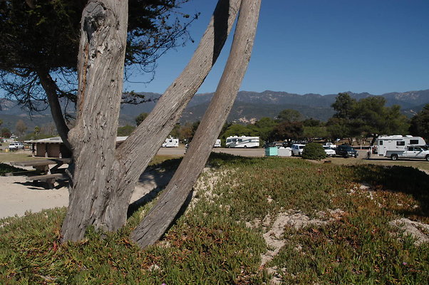 DSC 4901