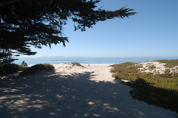 DSC 4906