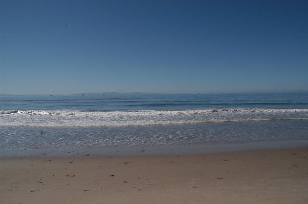 DSC 4882