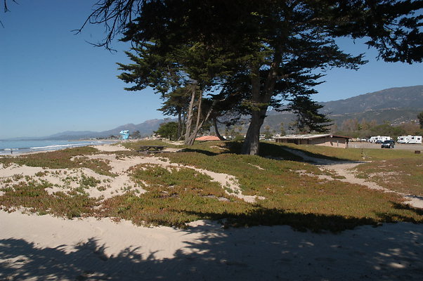DSC 4909