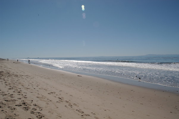 DSC 4881